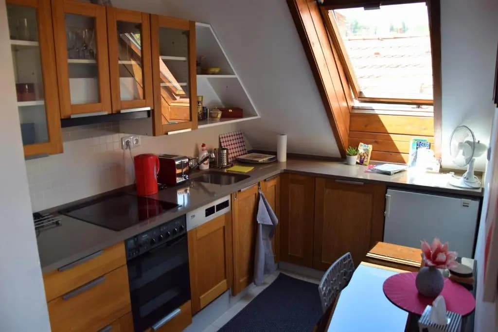 Apartman Mala Strana - photo 5