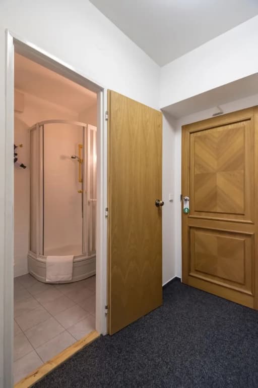 Affinity Hotel Prague 2 - photo 10