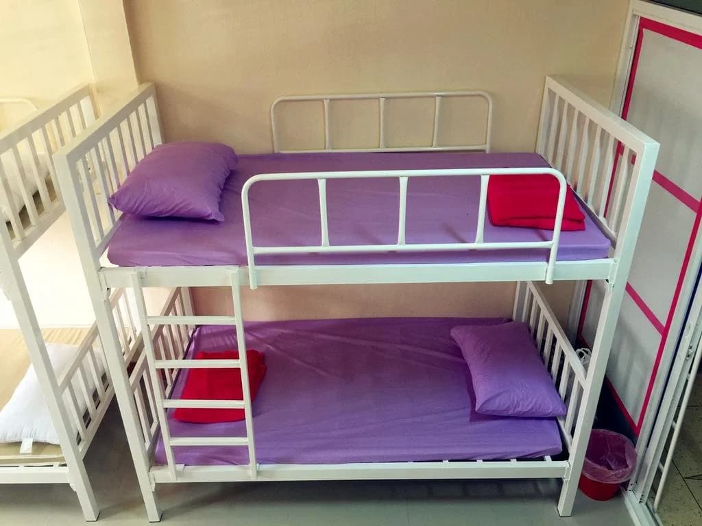 Small Elephant Hostel - photo 5