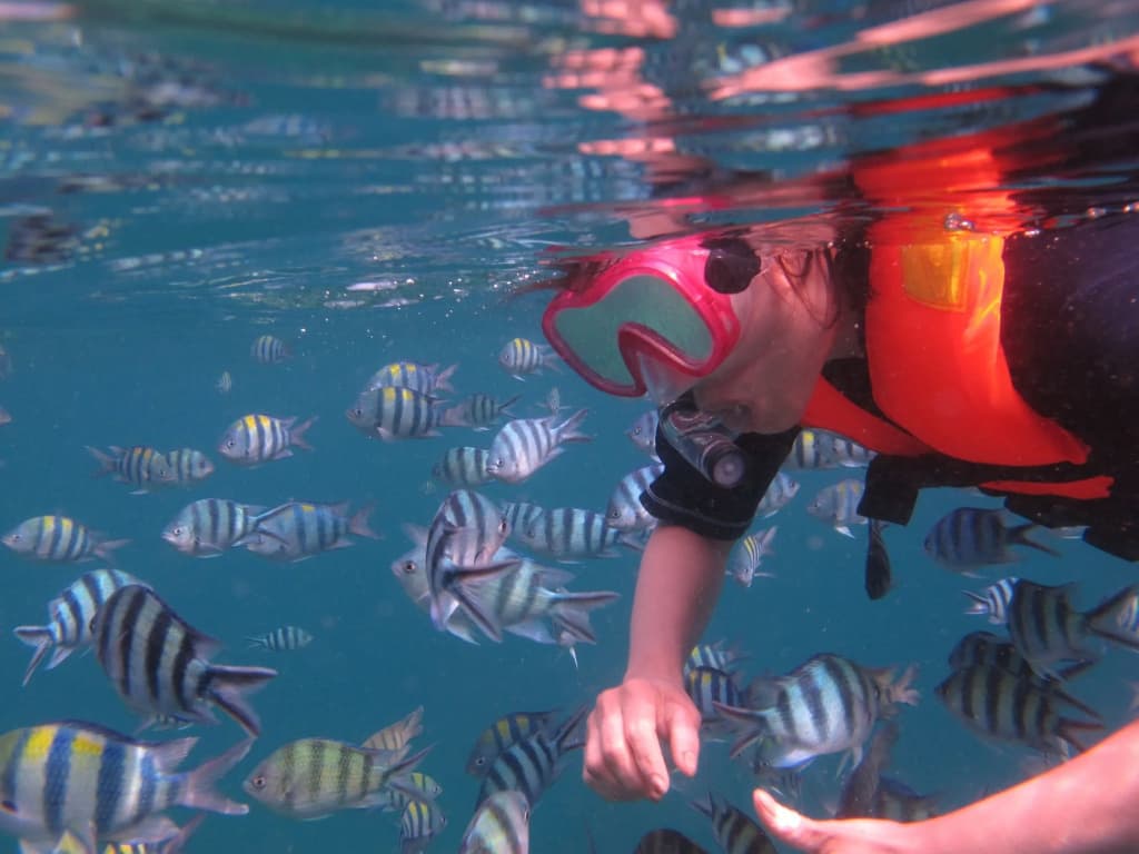 The Barat Tioman Beach Resort - photo 30