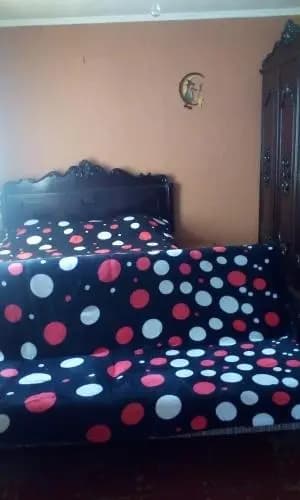 Zalos bona - photo 3