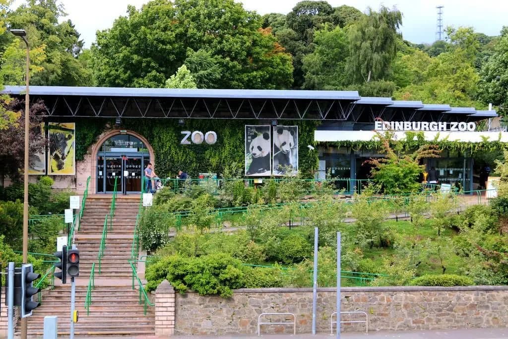 Dalmore Lodge Guest House - photo 10