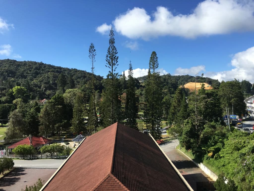 Century Pines Resort - photo 22