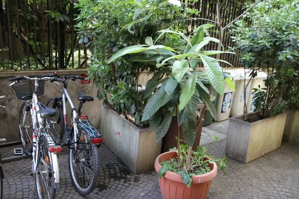 Milano Guest house Armonia & Passione - photo 14