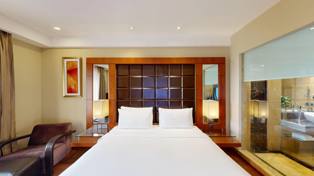 Radisson Blu Plaza Delhi Airport - photo 36