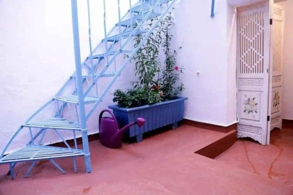 Chameleon Youth Hostel - Hostel - photo 16