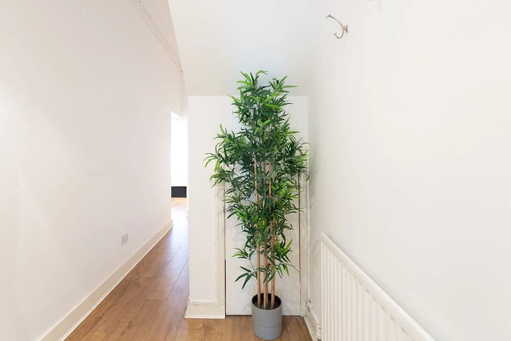 Z O Properties Notting Hill - photo 10
