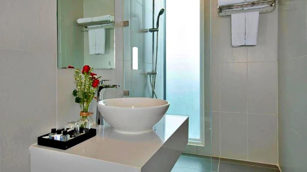 Hanz Harmonie Hotel - photo 7