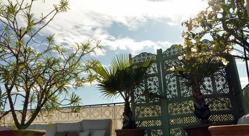 Riad 41 - photo 3