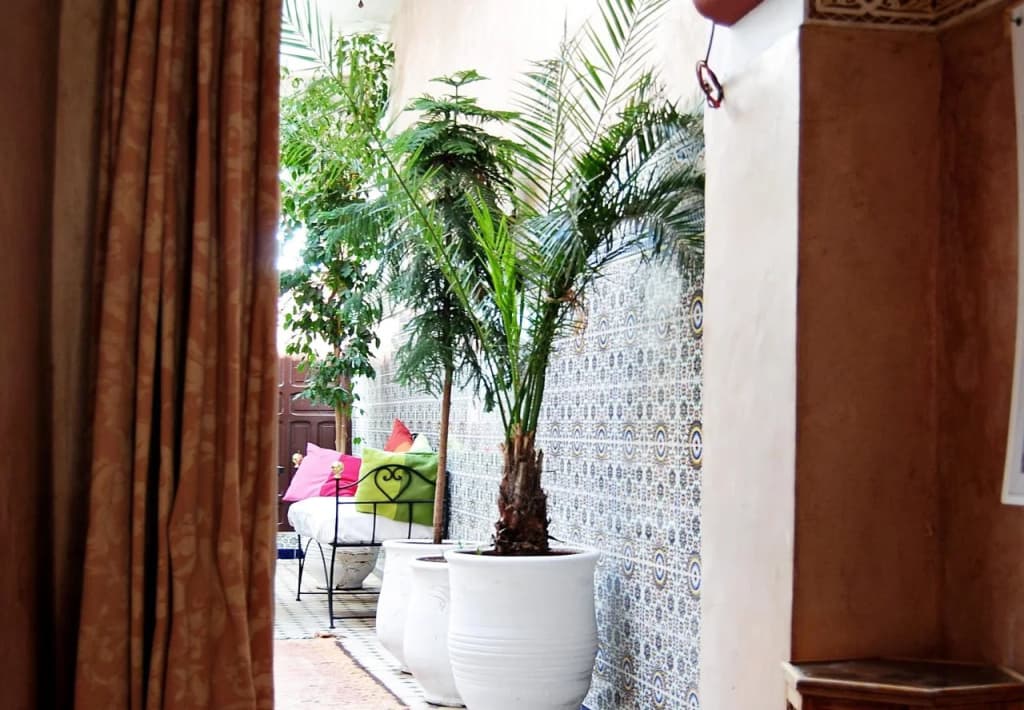 Riad Les Oliviers & Spa - photo 27