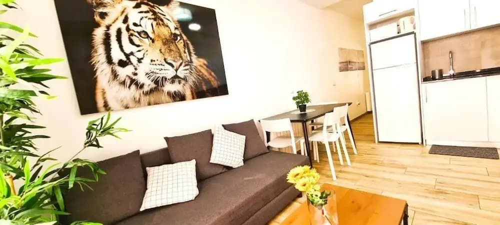 Oshun Plaza Castilla - photo 42