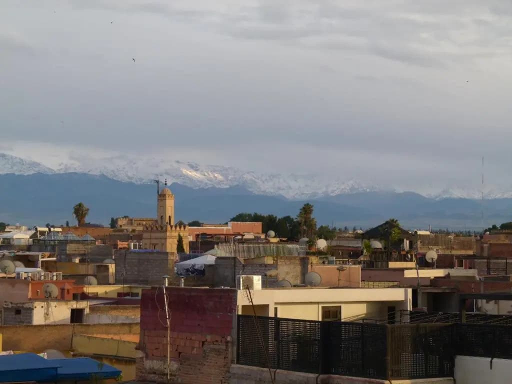 Riad Andalla - photo 10