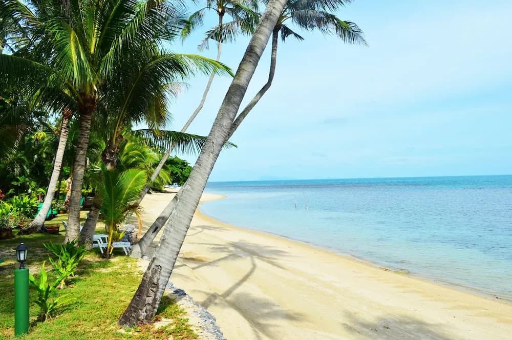 Green Coconut Village B6 - main photo