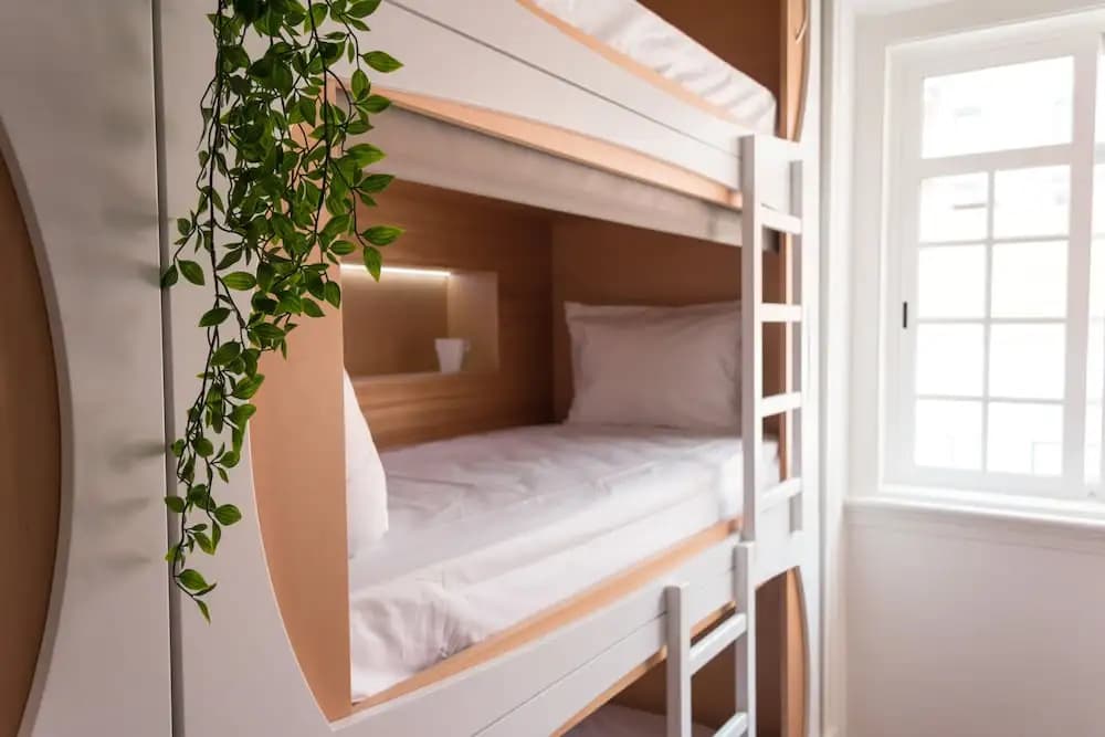 The Mulberry Tree Lisbon Hostel - photo 23