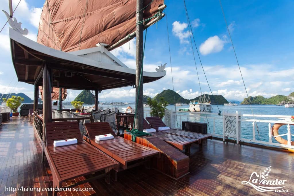 Lavender Elegance Cruise - photo 7