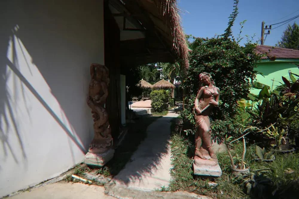Avocado - photo 13