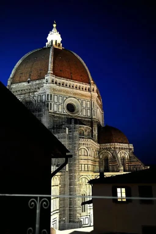 Domus Plaza - photo 8