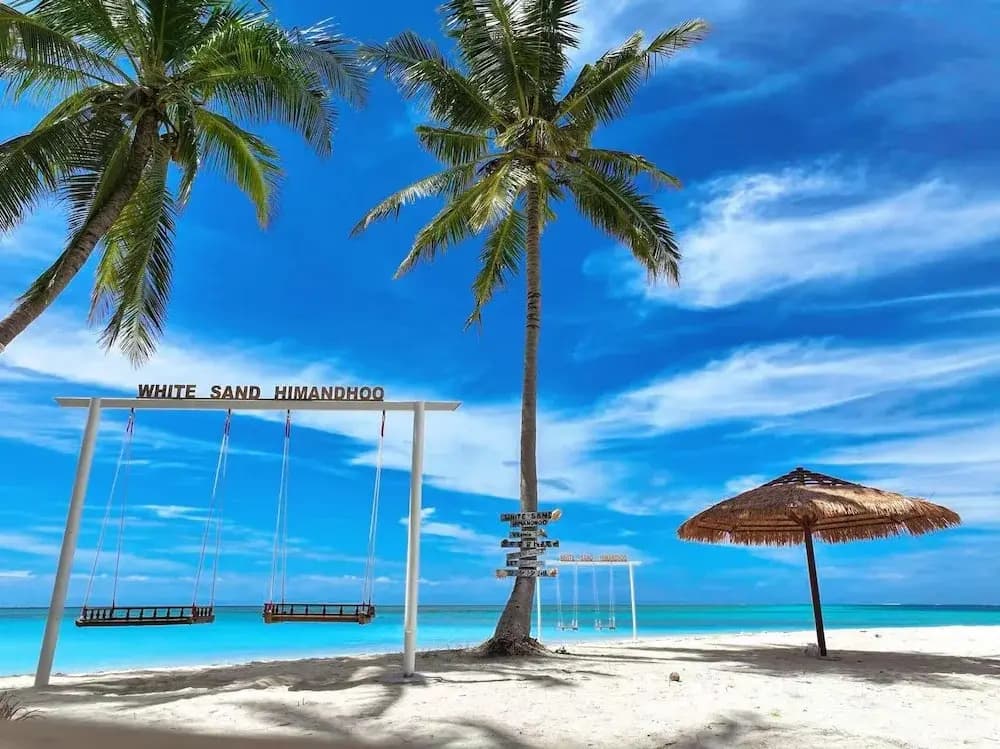 WhiteSand - photo 42