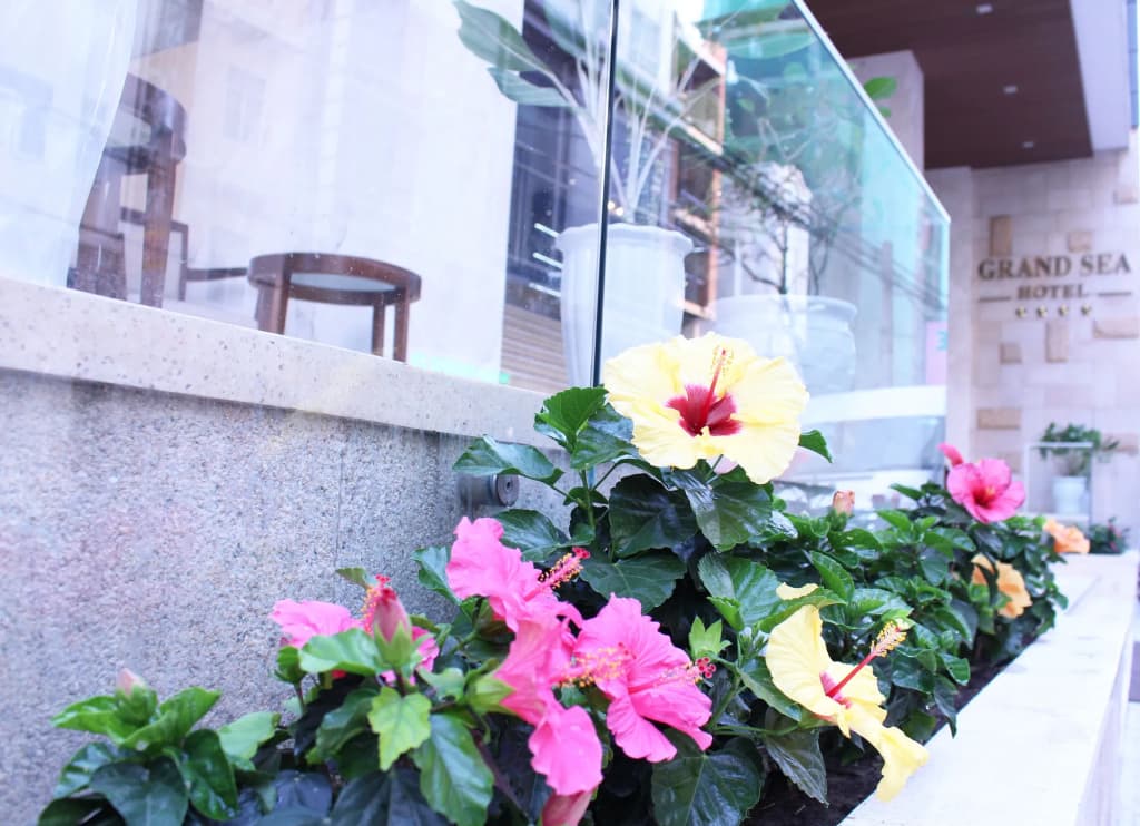 Grand Sea Hotel - photo 27