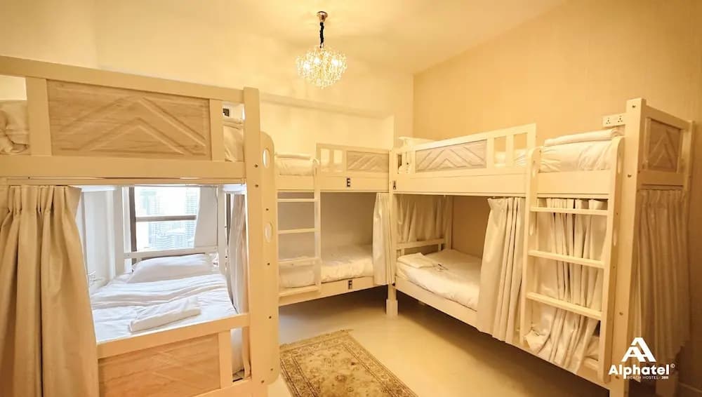 Alphatel Beach Hostel JBR - photo 5