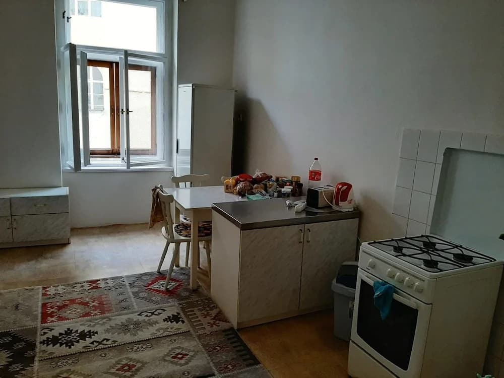 Apt Bella26 Near Charles Bridge - photo 12