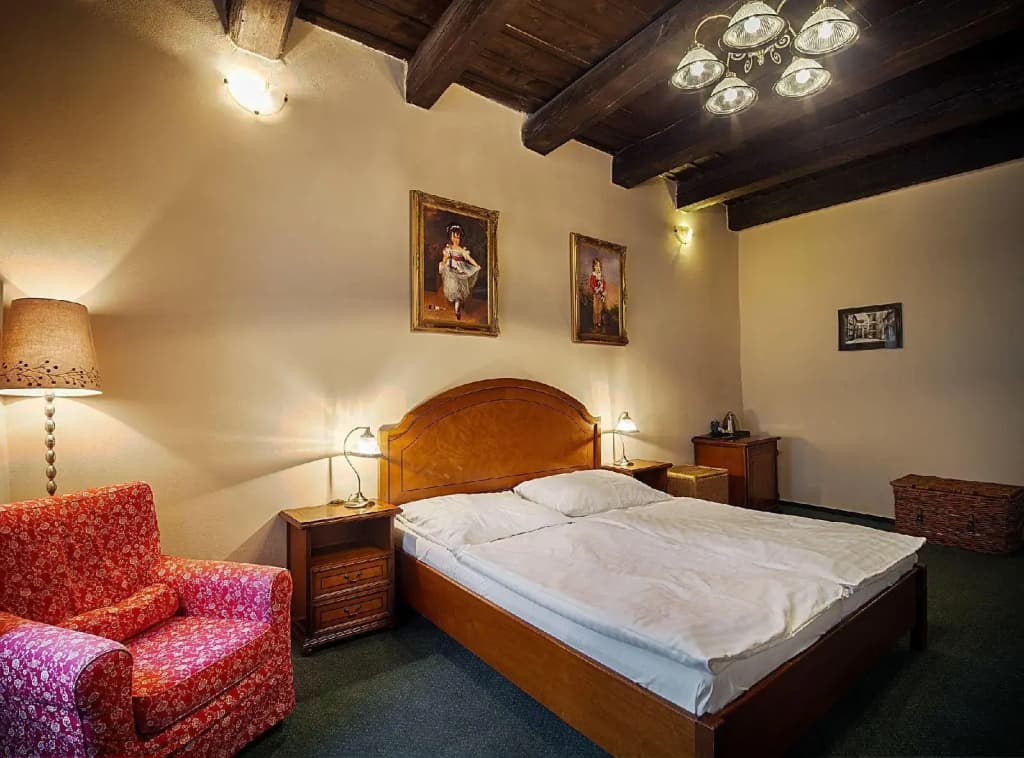 Hotel & Residence U Tri Bubnu - photo 22