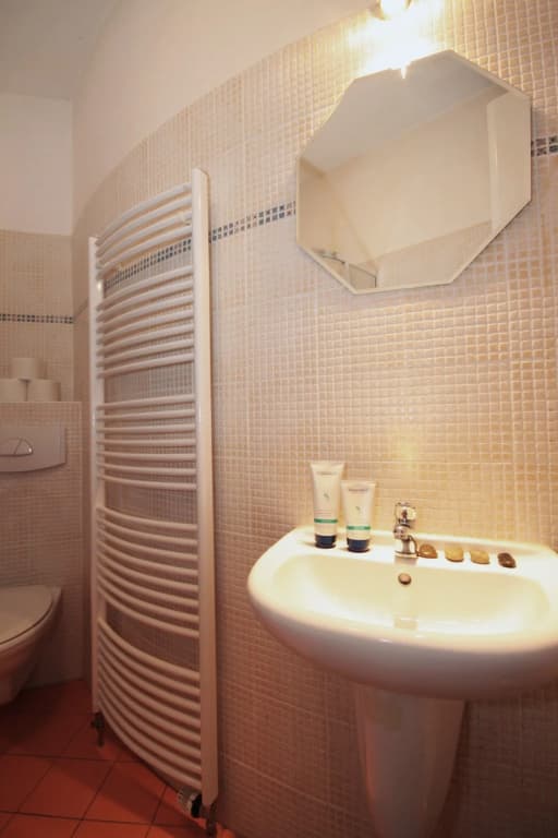 V Lesicku Residence - photo 11