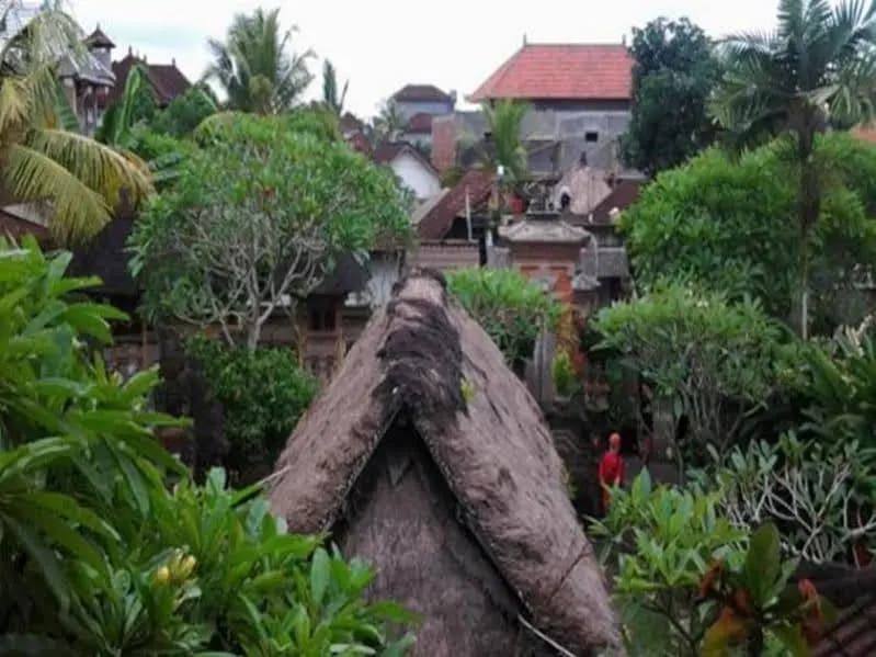 Den Den Mushi Guesthouse - photo 9