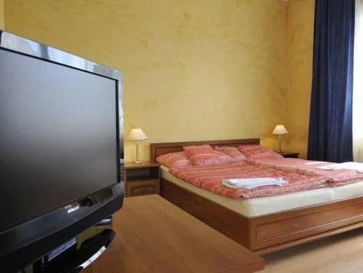 Apartments Barbora Prague - photo 4
