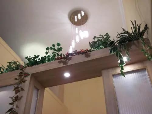 Orchidea Central Apartment - photo 15