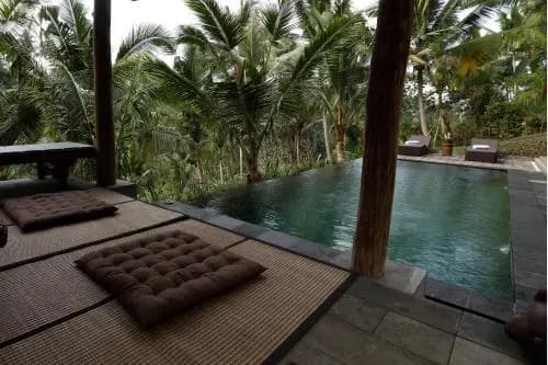 The Desa Ubud Villa - photo 10