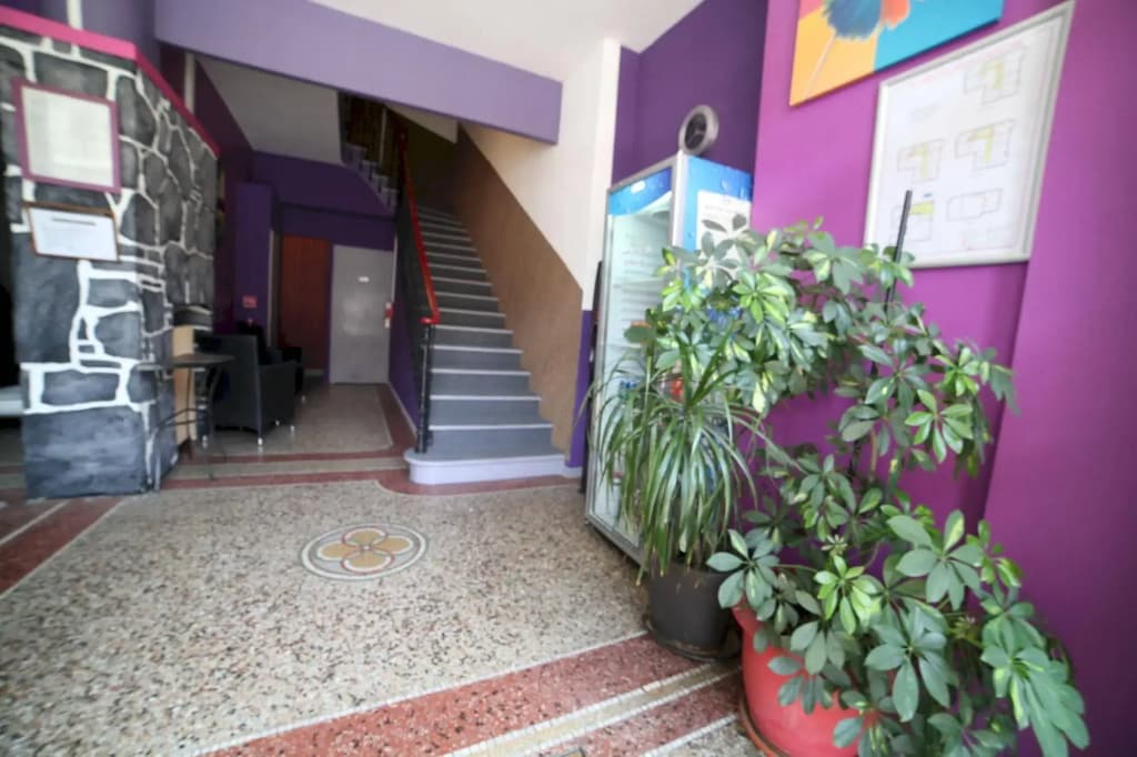 Evelia Hotels - photo 13