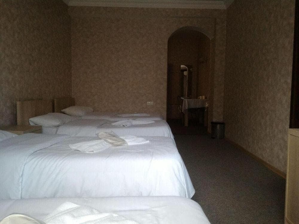 NT Palace - photo 6