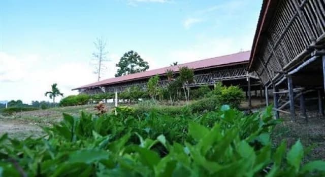 Sabah Tea Resort - photo 47