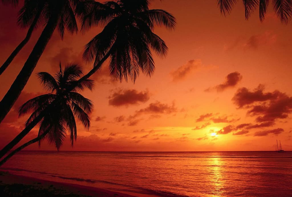 Miri Marriott Resort & Spa - photo 25