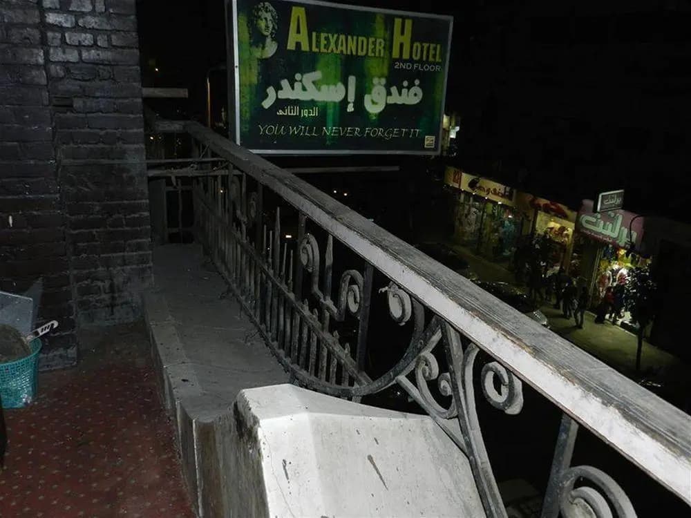 Alexander - photo 13