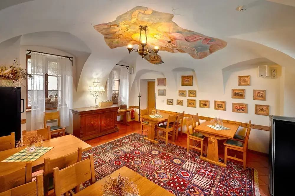 Hotel Selský Dvůr - photo 13