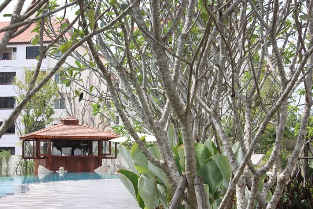 Harmony Resort Hotel - photo 21