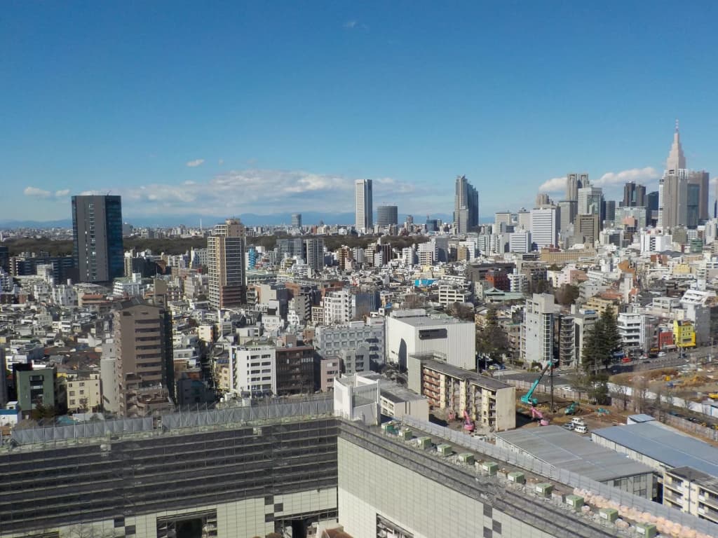 Nippon Seinenkan Hotel - photo 21