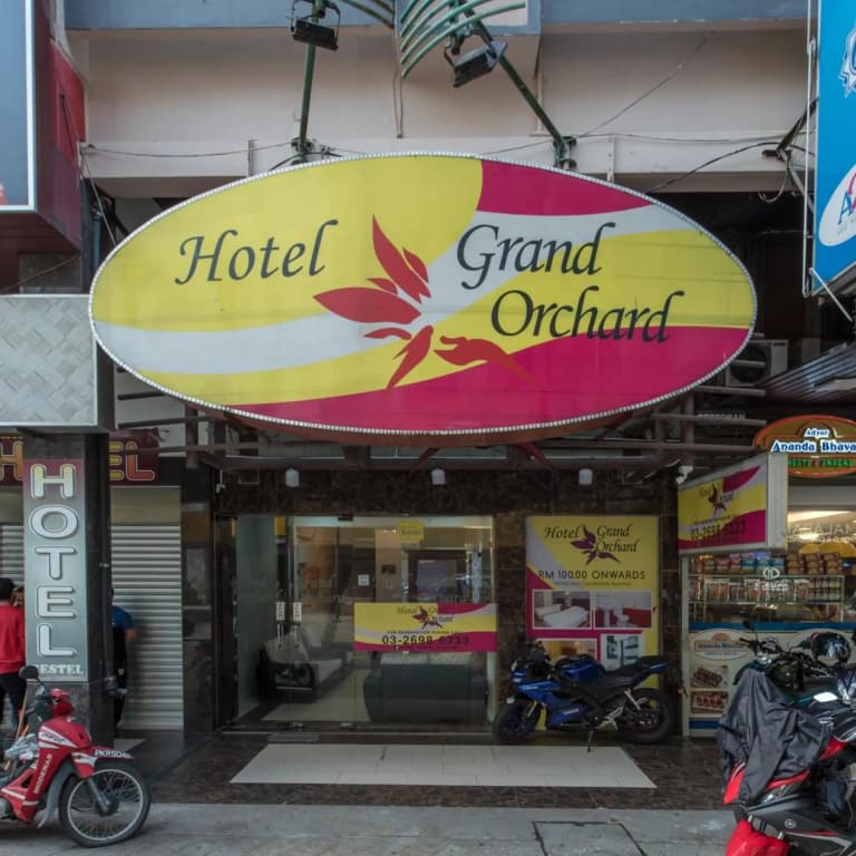 Grand Orchard Wings - photo 12