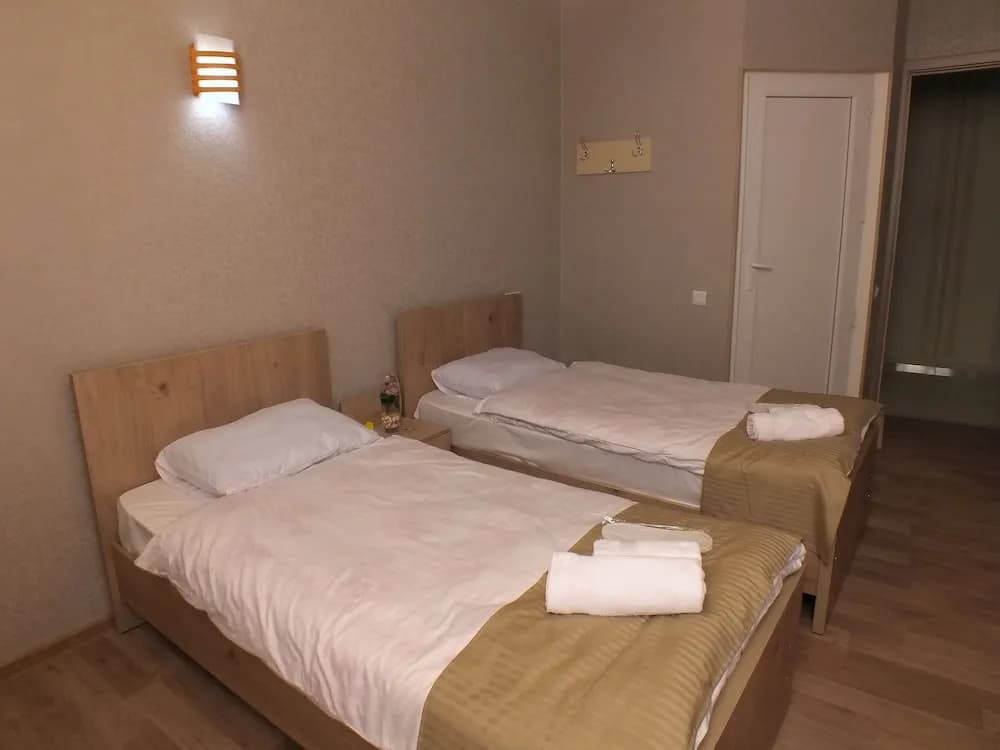Hotel Petre Palace - photo 2