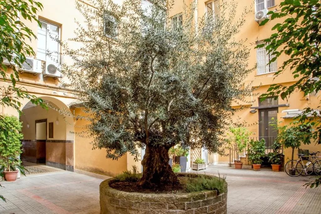 Vatican Studio Apartment - main photo