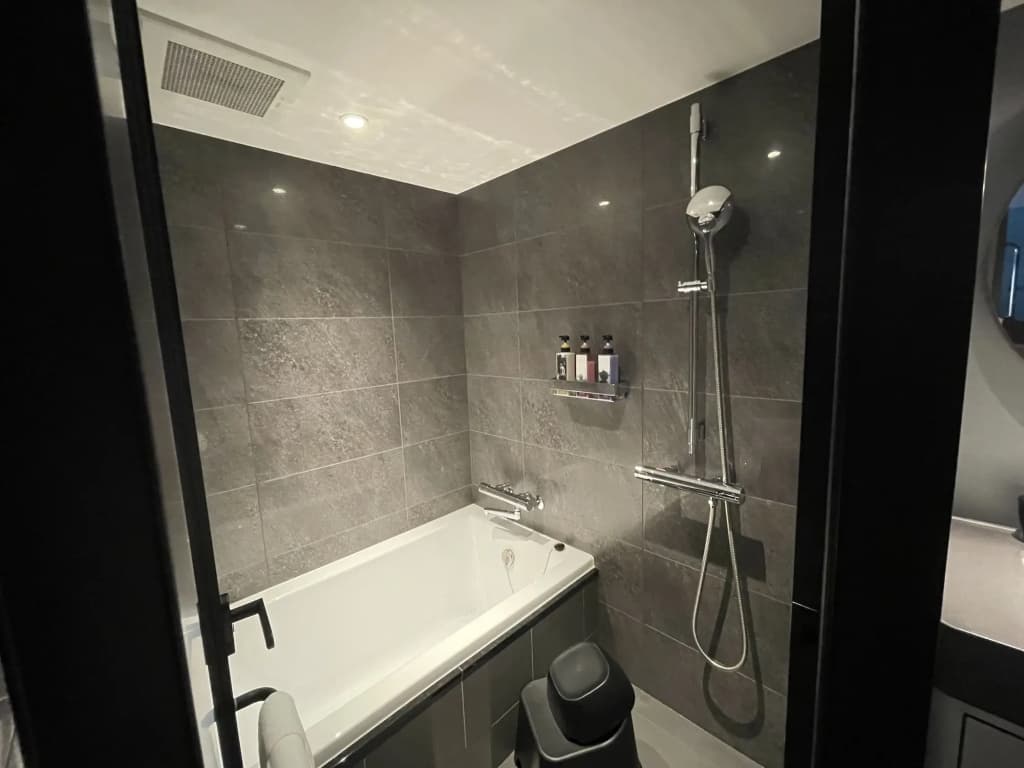 Mercure Kyoto Station - photo 10
