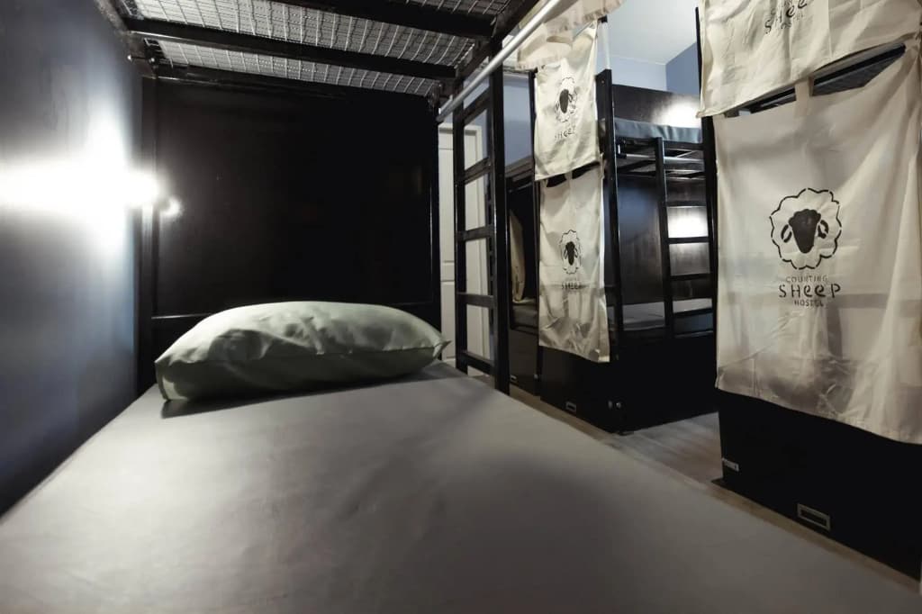 Counting Sheep Hostel - photo 10