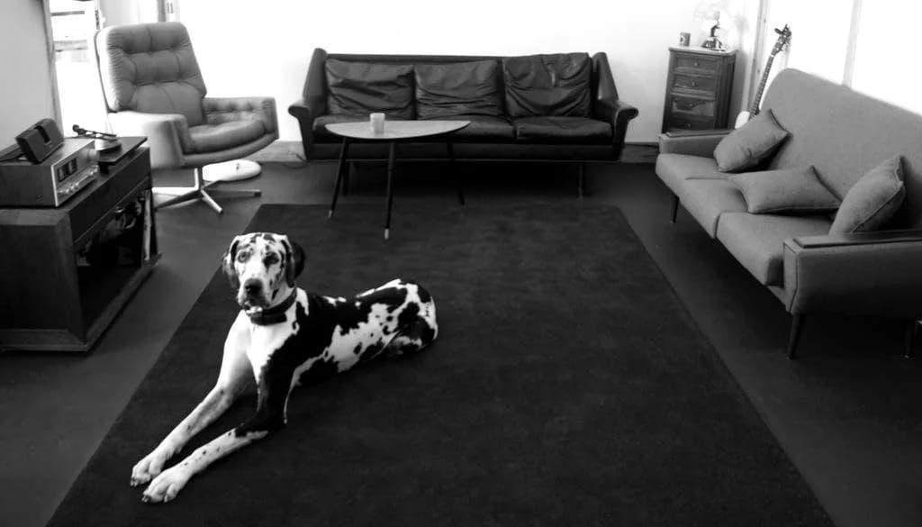 Goodnight Hostel - photo 5
