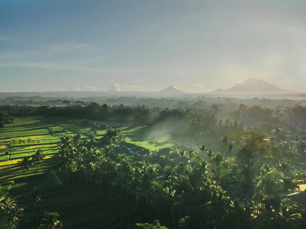 Kappa Senses Ubud Hotel - photo 35
