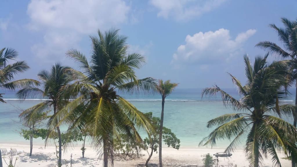Hathaa Beach Maldives Guest House - photo 23