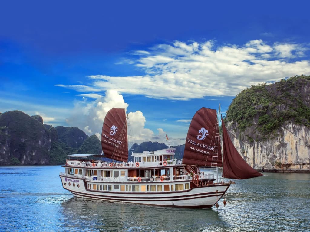 Viola Cruise Halong Bay - photo 13