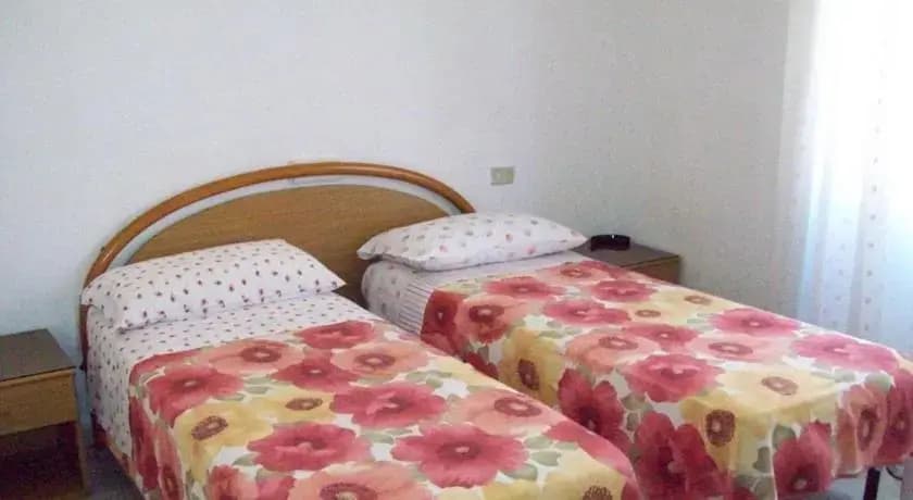 Hotel Viola - photo 4