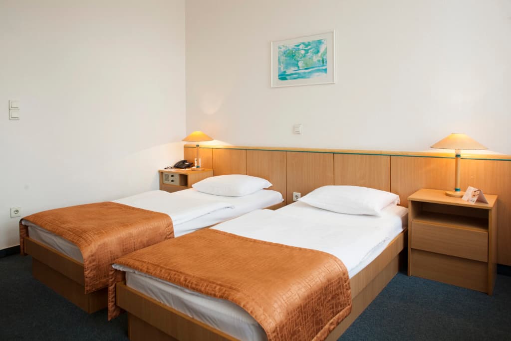 City Hotel Matyas - photo 6